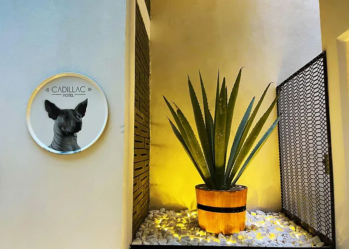 Cadillac Boutique 4* Mexico City